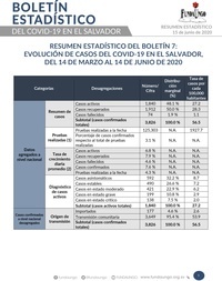 Portada_Resumen_Boletín_7.jpg