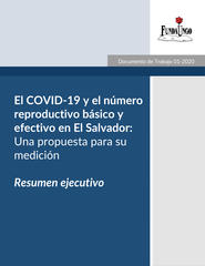 Portada_resumen_ejecutivo