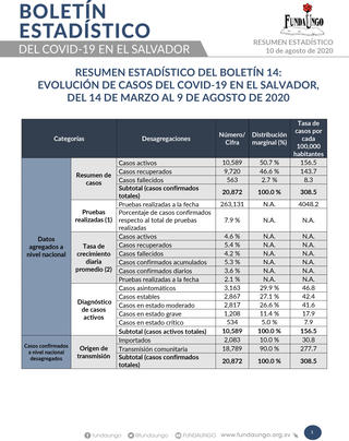Portada_resumen_boleti%cc%81n_14