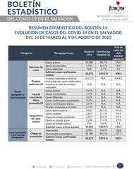 Portada_resumen_boleti%cc%81n_14