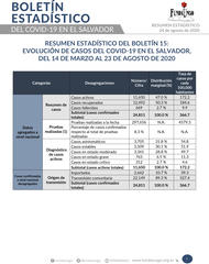 Portada_resumen_boleti%cc%81n_15