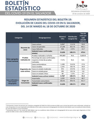 Portada_resumen_boleti%cc%81n_19